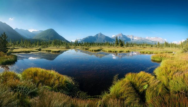 Les meilleures options de bars pour un anniversaire à paris